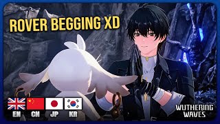 Rover’s Cute Request to Abby | Multi-Language Voice Comparison (EN/JP/CN/KR)