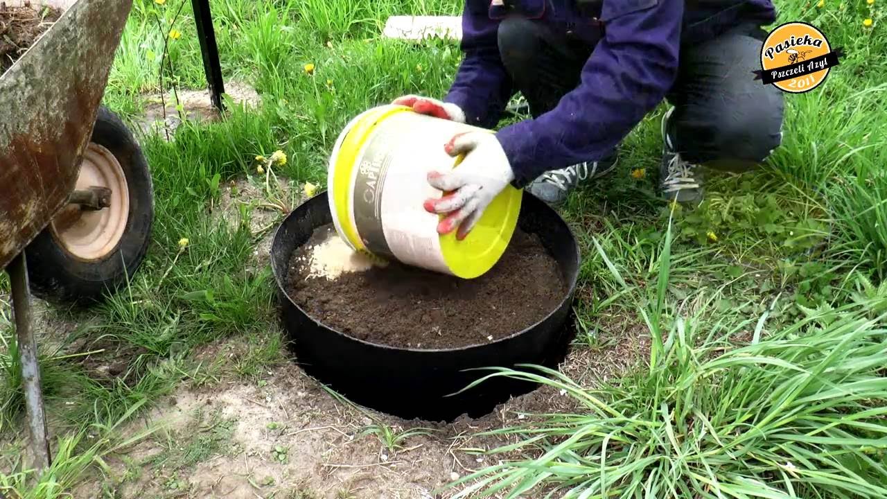 Pasieka Pszczeli Azyl - 5. Poidło pasieczne