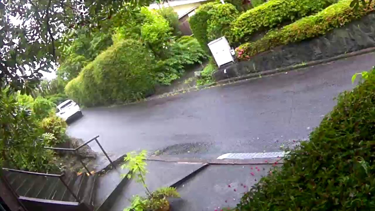 Event Data Recorder June #19 2020