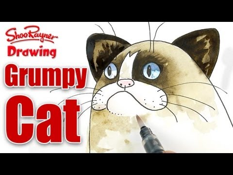 How to draw and paint Grumpy Cat