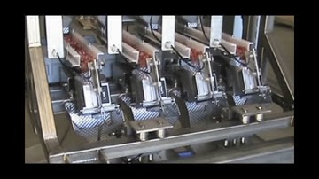 Actionpac Weighing and Filling Machines  | FRESH PRODUCE COMPILATION IQF