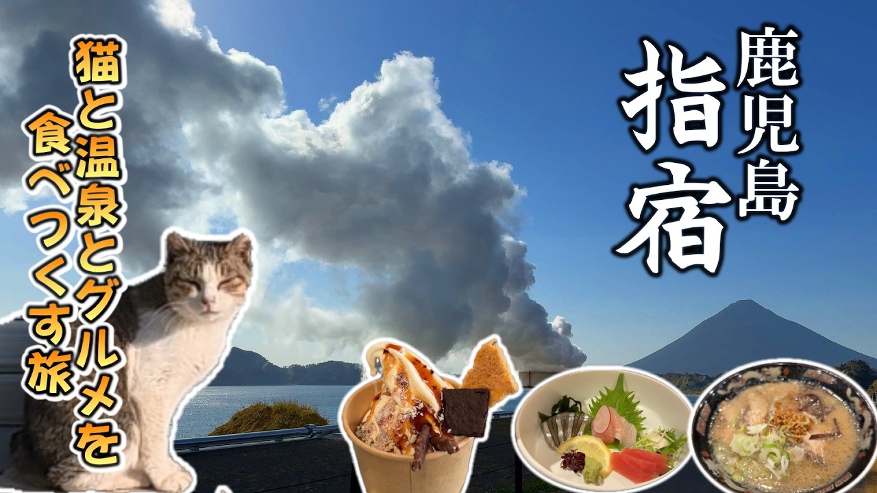 【指宿温泉】猫もくつろぐ指宿温泉で鹿児島グルメを食べまくる癒し旅|たまて箱温泉|龍宮神社|黒豚とんかつ|霧島神宮 kagoshima ibusuki onsen kirishima