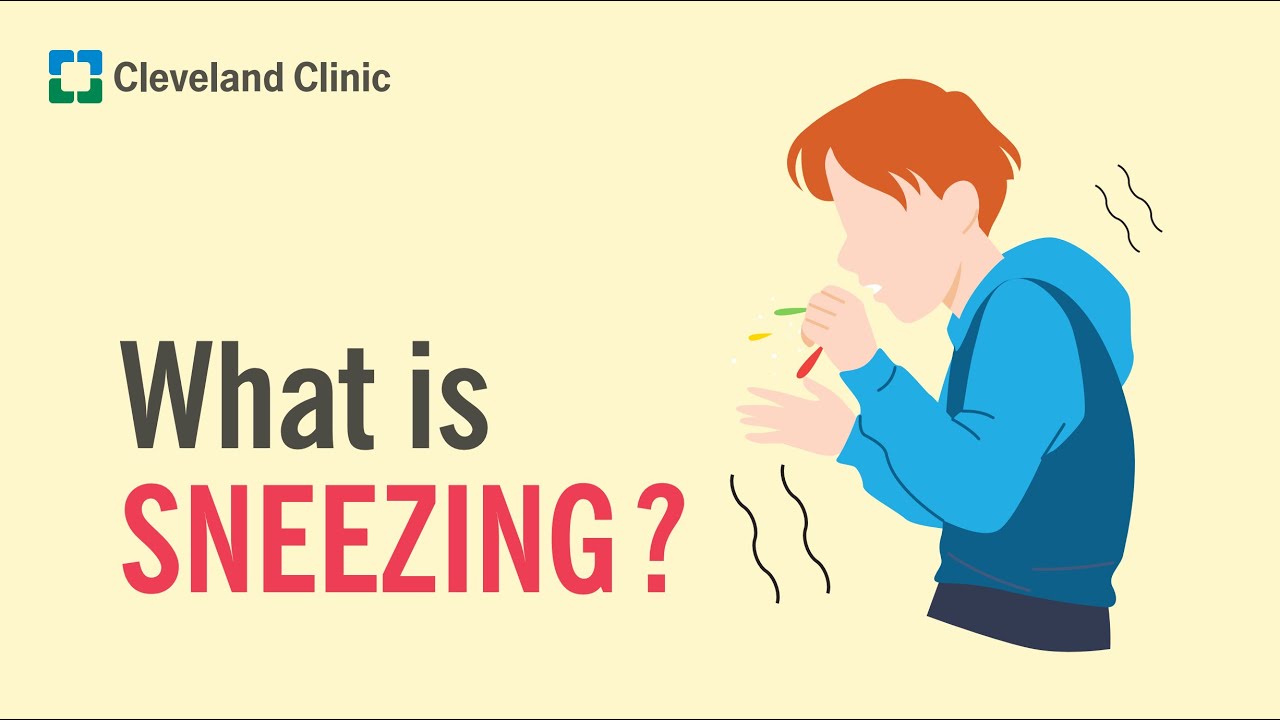 What Is Sneezing?