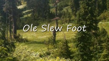 Thumbnail of Ole Slew Foot - Johnny Horton