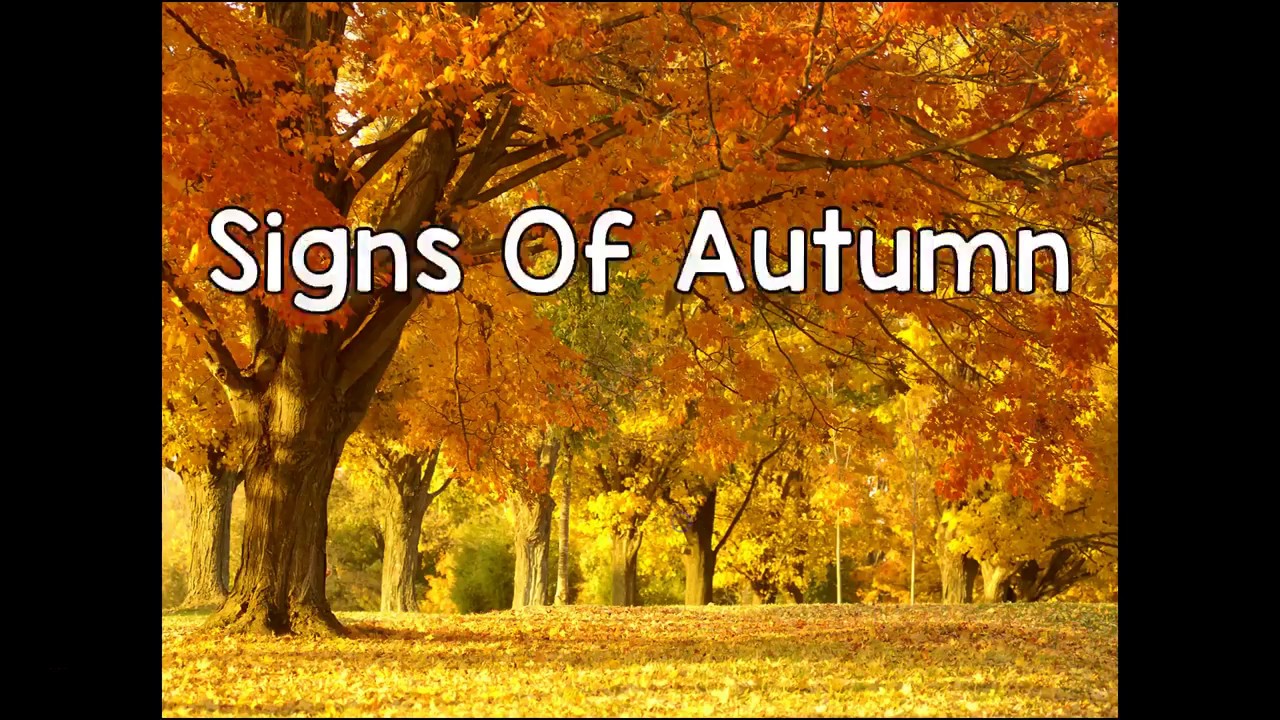 Signs of Autumn