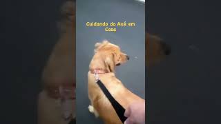 💥💥Cuidando do Axé em Casa 🏠 #espiritualidade #umbanda #axe