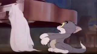 Download Lagu Tom and jerry apisode 4 fraidy cat part 3 MP3
