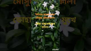 ইবাদত করার সেরা মৌসুম কাল হচ্ছে যৌবনকাল। #shortvideo #boyan