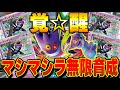 【ポケカ対戦】マシマシラが無限に育つ！？メガゲンガーexの技を利用してダメカンを一気に跳ね返せ！！MEGAゲンガーex考察委員会！