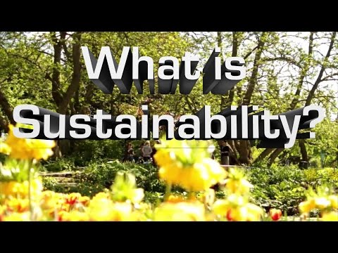 지속 가능성이란 무엇입니까?