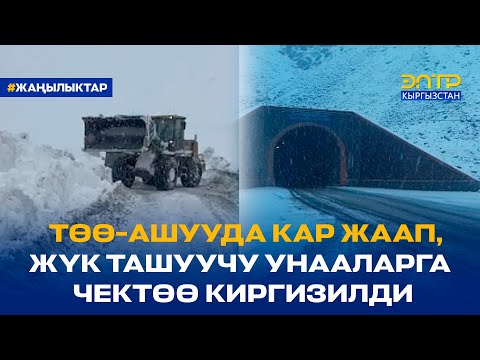 ТӨӨ-АШУУДА КАР ЖААП,