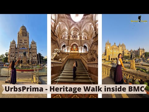 Guided Tour of