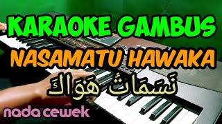 KARAOKE GAMBUS  NASAMATU HAWAKA ||  SALWA SYIFA ||  KORG PA700 ORIENTAL