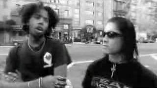 Blutrausch - Die echten Vampire Teil 1