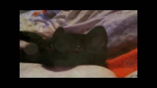 Odisseo - Hablando lento (1 hour version)