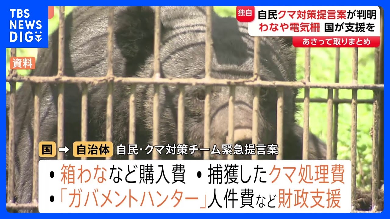 独自】クマ被害 わなや電気柵など国が財政支援を 自民党の緊急提言案が