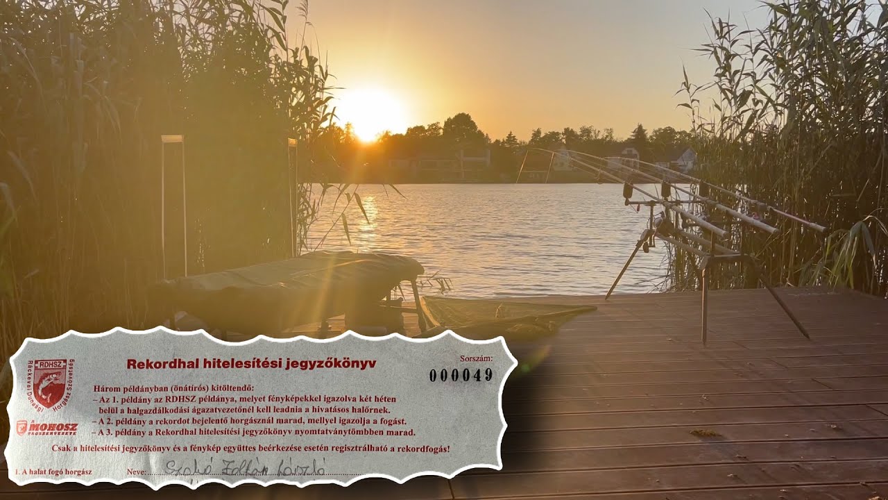 RSD  | Rekordfogásom hitelesítése...