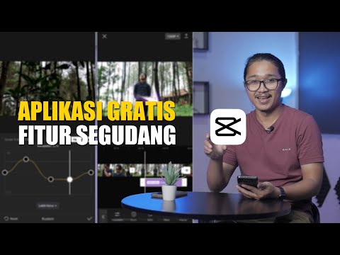 Video: Ular panah: deskripsi spesies dan fitur-fiturnya