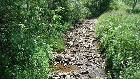 How to Keep Our Streams Clean