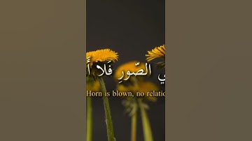ما اسم هاذا القارئ 😍؟