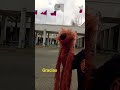 baila sin cesar