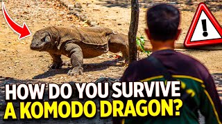 How To Survive Komodo Dragon Attack