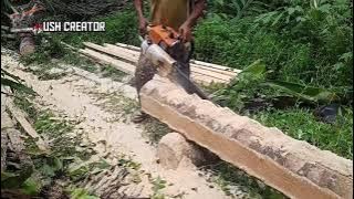 Belah Pohon Kelapa Di Siang Hari,Ukuran 5x5-6x10.