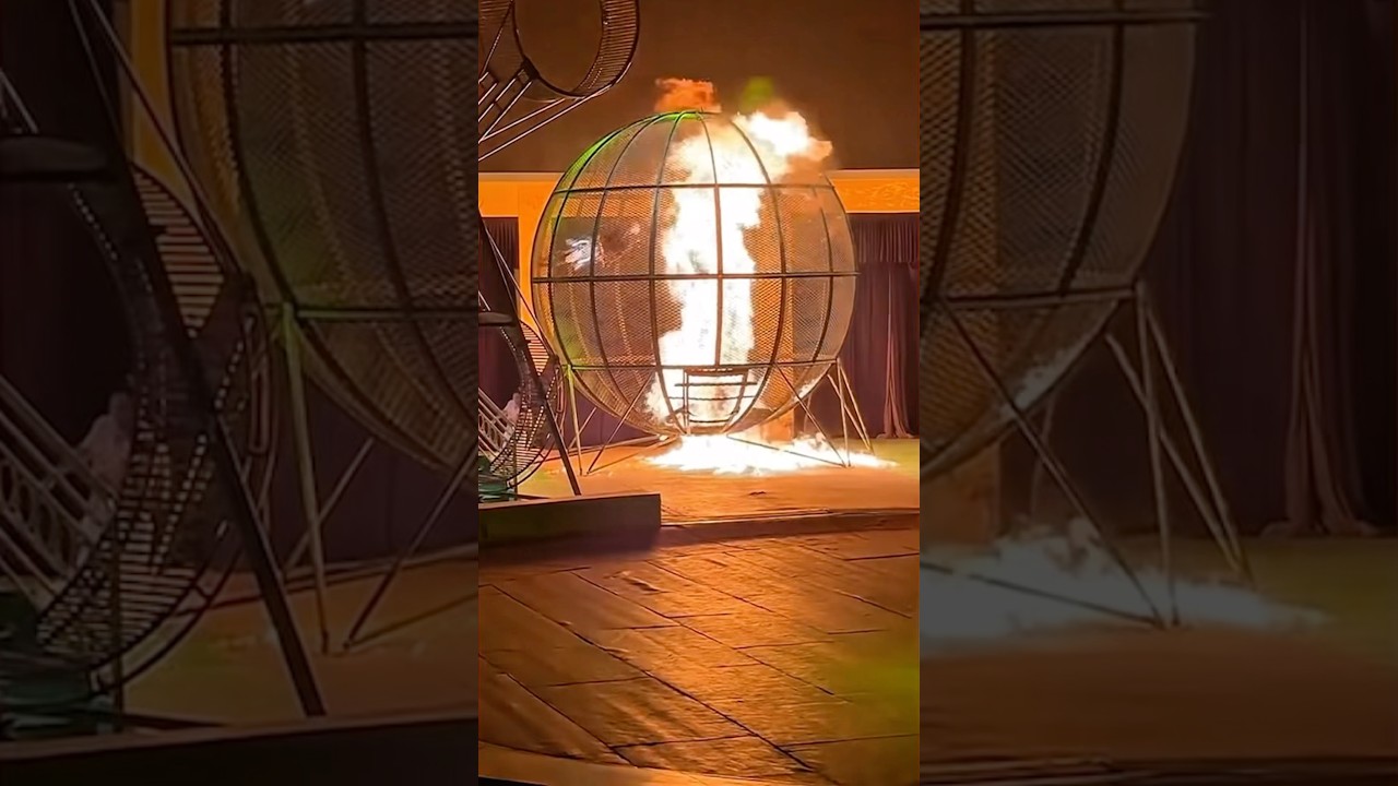 Not for the faint hearted 😟 