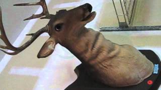 Buck, the animated singing deer. Bid online until June 18, 2012 at http://www.auctionmn.com