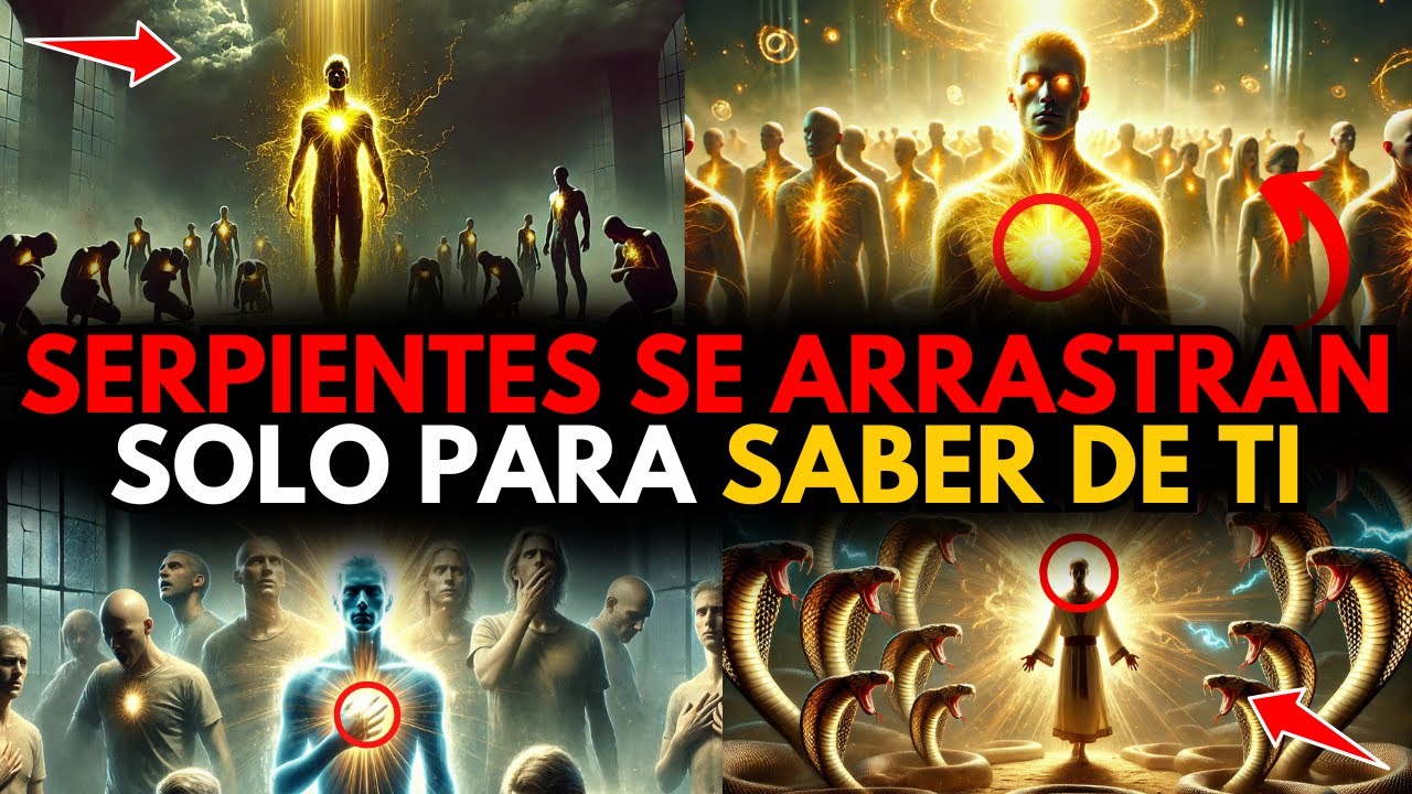 ELEGIDO: Las CONSECUENCIAS por TOCARTE son BRUTALES 🚨 ¡y ahora se RUEGAN INFORMACIÓN entre ellos! 🤣