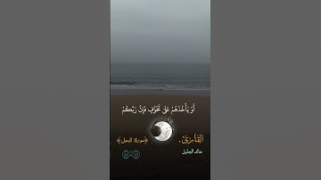 سورة النحل القارئ الشيخ خالد الجليل #تلاوة_خاشعة #خالد_الجليل #اكسبلور #سورة_النحل #quran #short