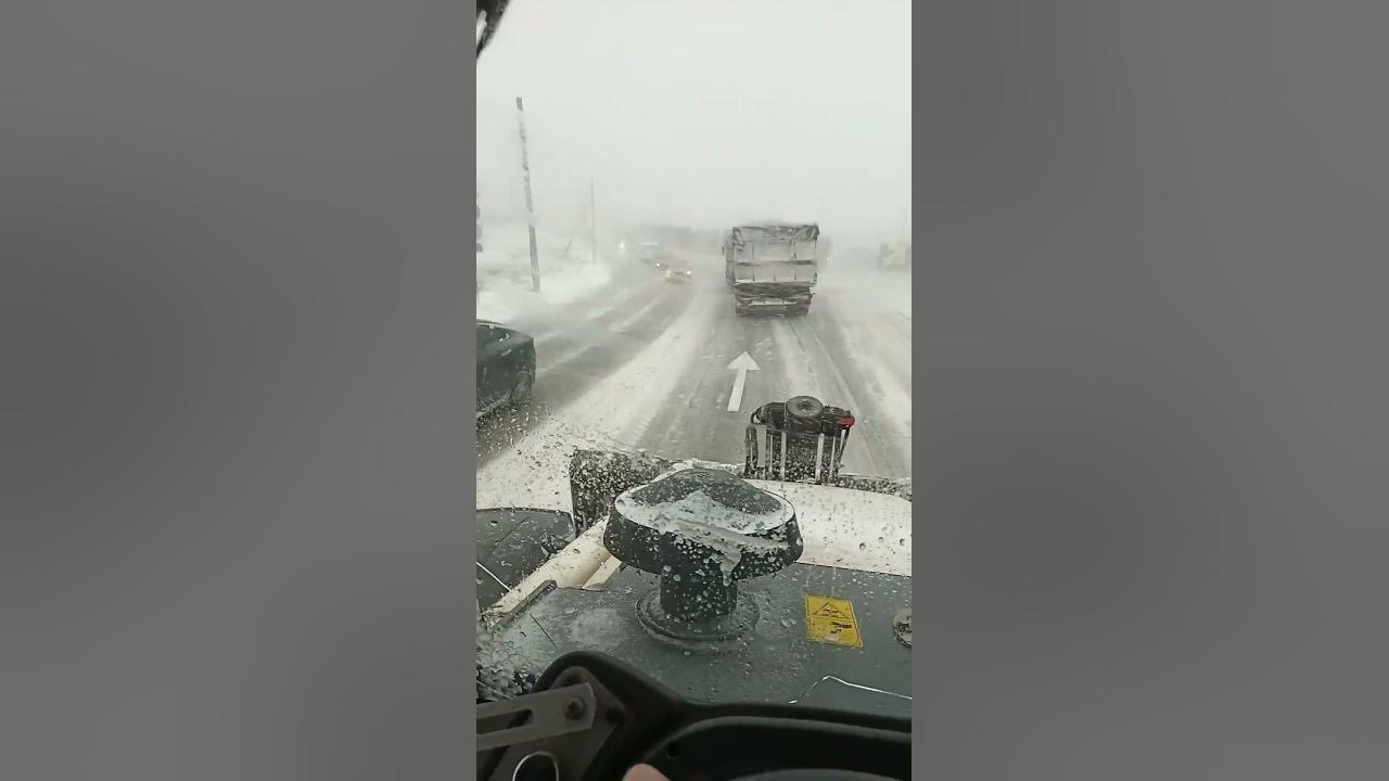 Красивый зимний лес. Метель. Метель. Метель зимой. Метель 7 февраля.