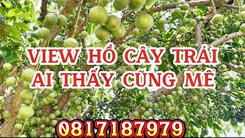 1 héc 3 có 150m thổ cư,100m mặt hồ trị an