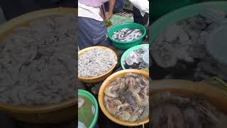 UDANG GEDE DI PASTER #subang #pasartradisional #shorts #ikan