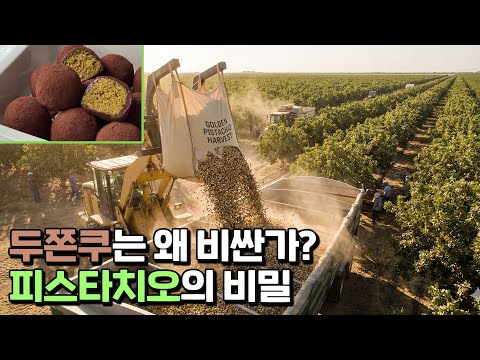 두쫀쿠 vs <strong>허니버터칩</strong>, 누가 더 열풍일까?