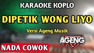 DI PETIK WONG LIYO KARAOKE NADA PRIA/COWOK - VERSI AGENG MUSIK