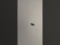 #viral#shyamu#Wall and Ceiling me putty kaise lagya jata hai#youtube#short#video#🪖🦺🥾👓