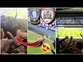 Incredible limbs  pyro in mental yorkshire derby  sheffield wednesday vs barnsley vlog