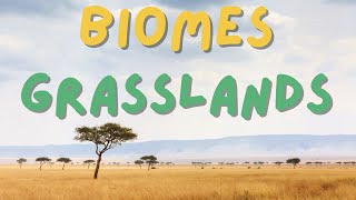 Biomes:  Grasslands