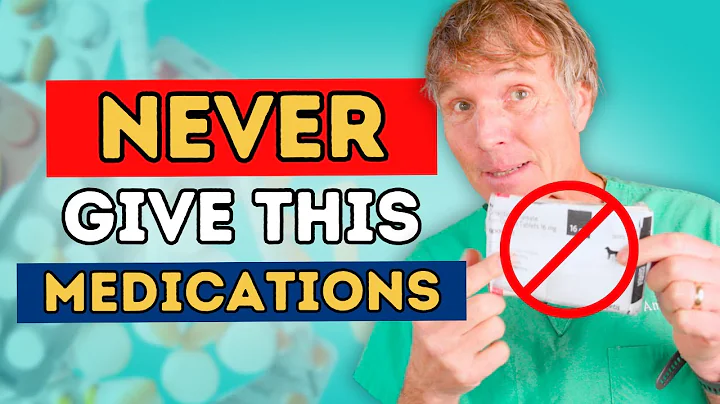 7 Human Medications to NEVER give to your Dog or Cat