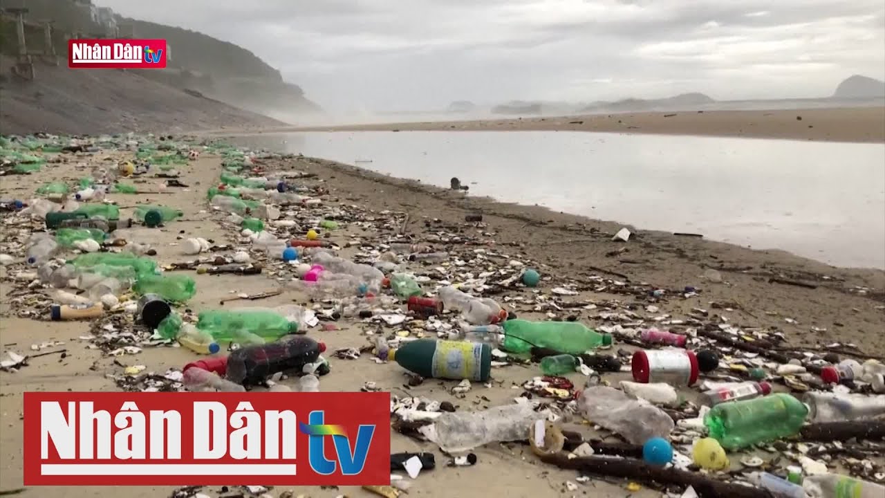Ô nhiễm rác thải nhựa nghiêm trọng ở Brazil - YouTube