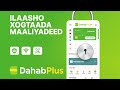 DahabPlus Sida Lays Kaga  ILAALIYO TUUGADA CASRIGA AH!
