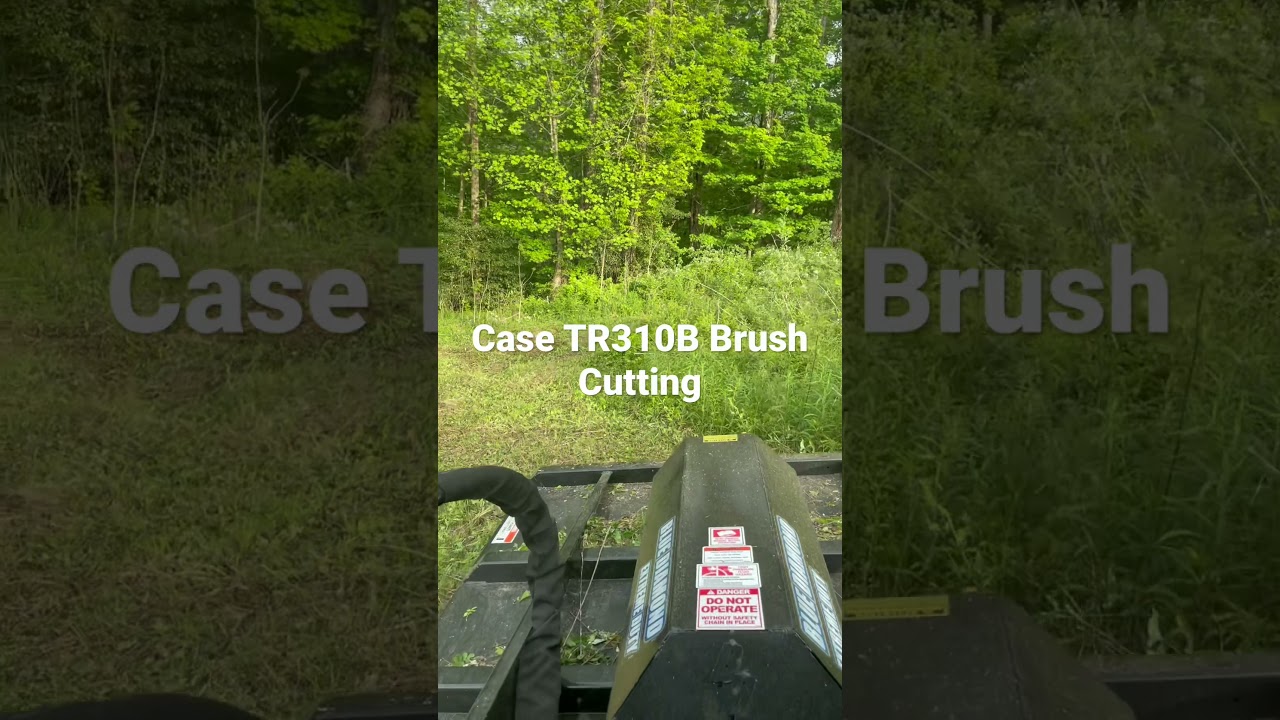 Case TR310B Brush cutting