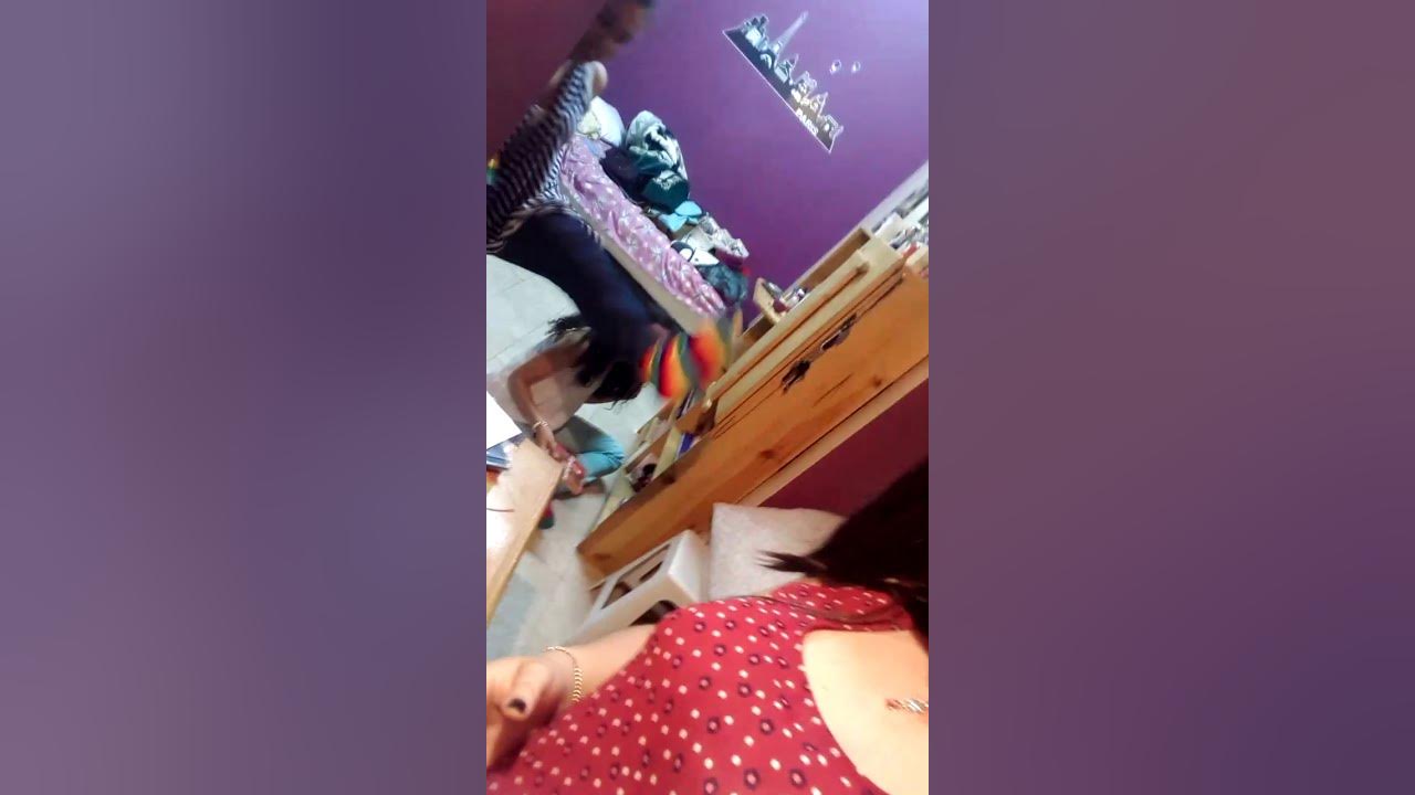 damn daniela