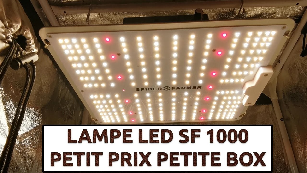 LAMPE LED IDÉALE POUR DEBUTER ?!? SF 1000 ❤ (culture Indoor)