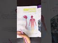 الصف الثامن علوم درس الضبط والتنظيم ج ١ الصف الثامن علوم الصف الثامن علوم درس الضبط والتنظيم ج ١ الصف الثامن علوم