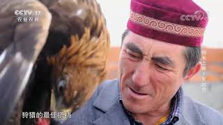 《乡土中国》 20201107 《稻米之路》 第六集 更远方|CCTV农业