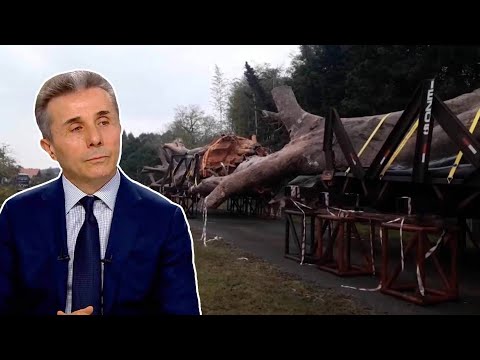 გამხმარი ათასწლოვანი ბაობაბები