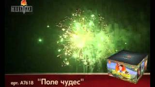 поле чудес