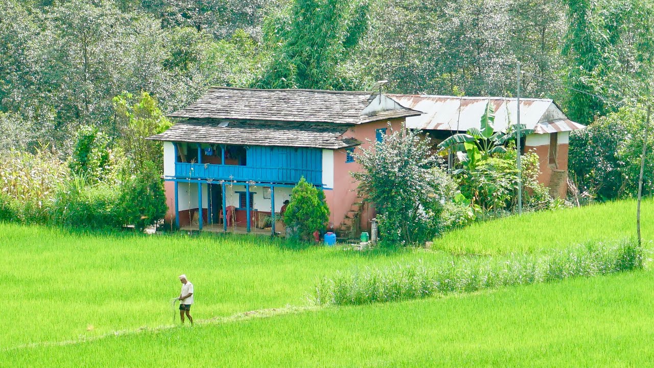Life and livelihood in Rural Nepal | Village life in Nepal | Countryside life in South Asia [4K]